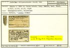 Karteikarte zum Holotyp von Dentalina obliquesuturata Stache, 1864